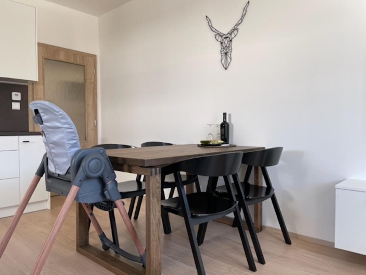 Klinovec Apartments Luxury Loučná pod Klínovcem Eksteriør billede