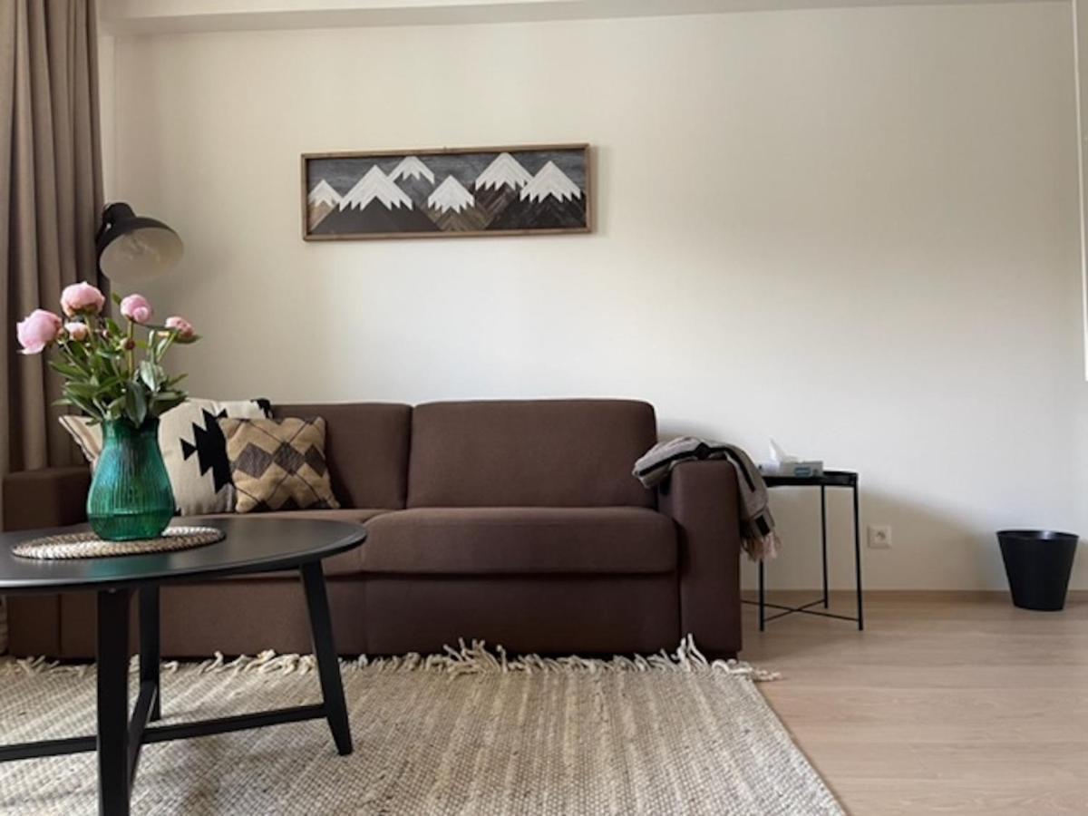 Klinovec Apartments Luxury Loučná pod Klínovcem Eksteriør billede