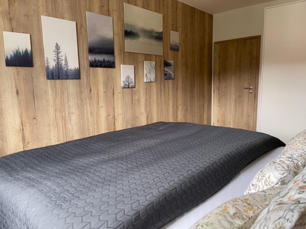 Klinovec Apartments Luxury Loučná pod Klínovcem Eksteriør billede