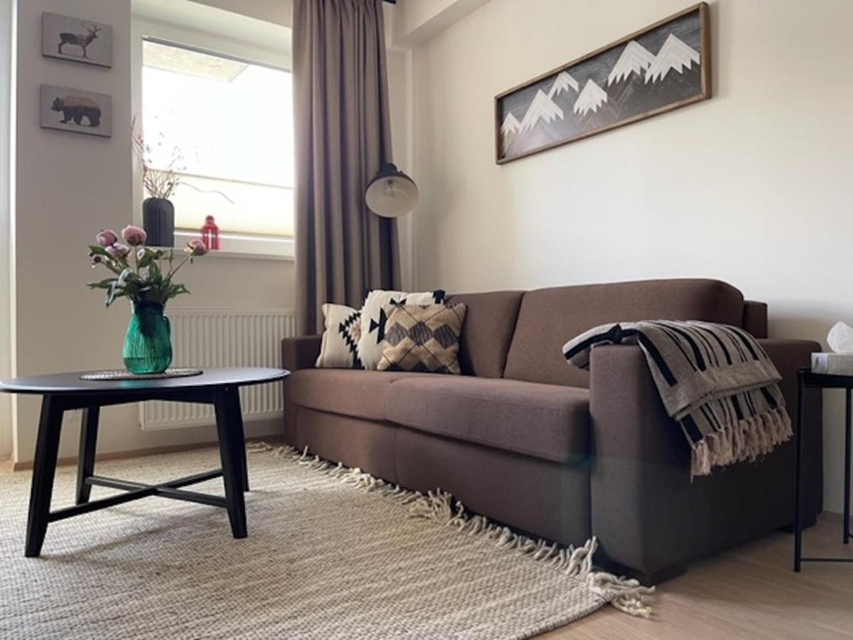Klinovec Apartments Luxury Loučná pod Klínovcem Eksteriør billede