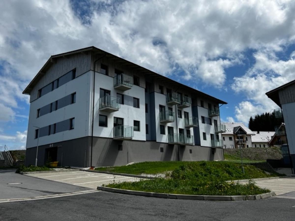Klinovec Apartments Luxury Loučná pod Klínovcem Eksteriør billede