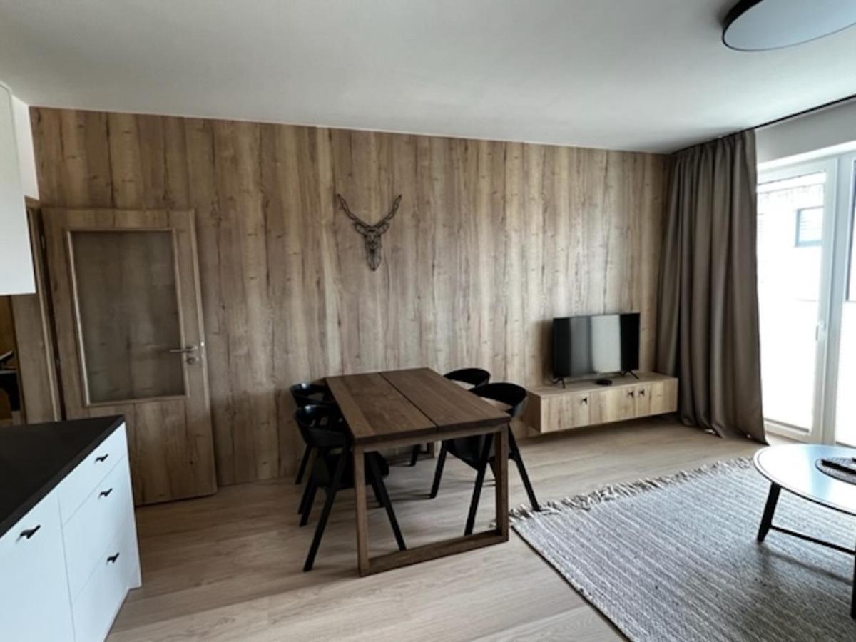 Klinovec Apartments Luxury Loučná pod Klínovcem Eksteriør billede