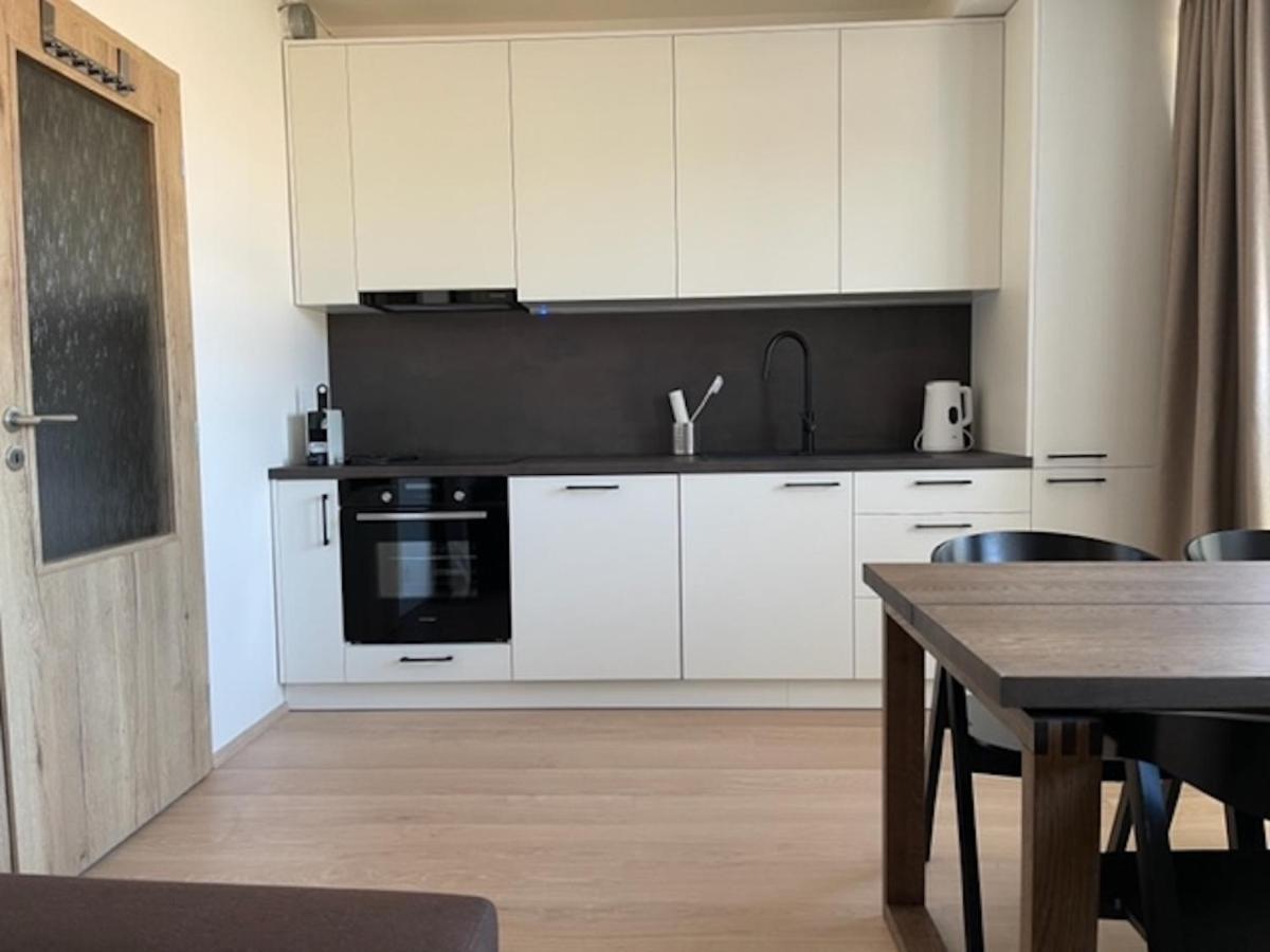 Klinovec Apartments Luxury Loučná pod Klínovcem Eksteriør billede