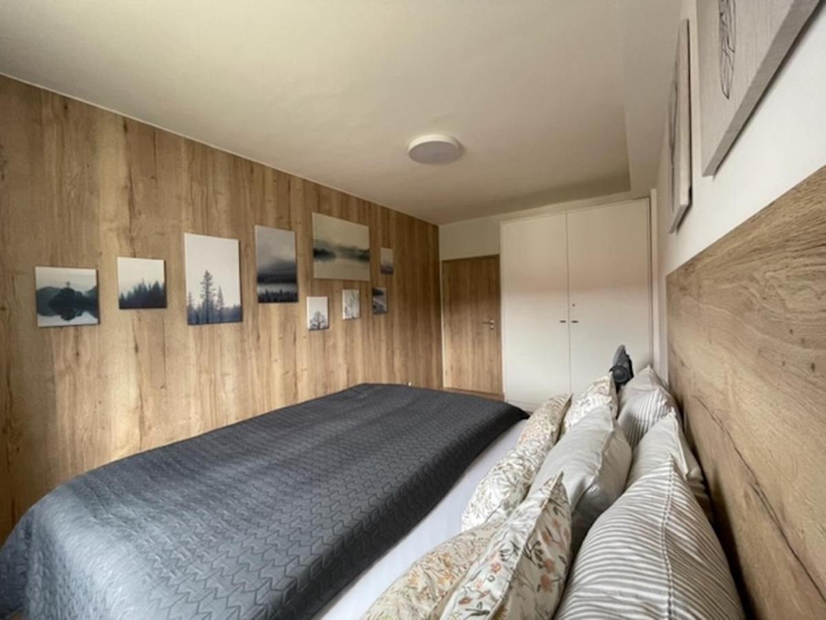 Klinovec Apartments Luxury Loučná pod Klínovcem Eksteriør billede