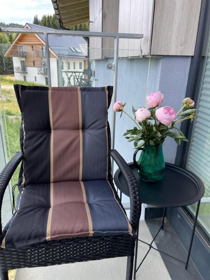 Klinovec Apartments Luxury Loučná pod Klínovcem Eksteriør billede